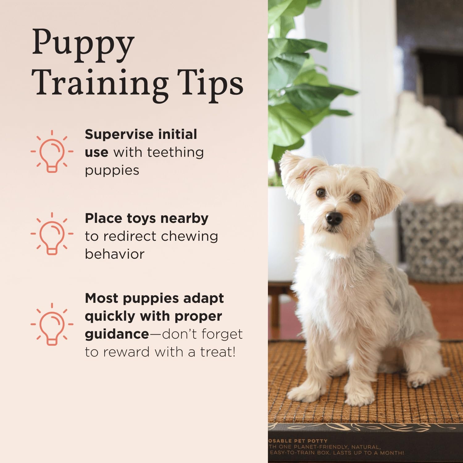 Bark Potty para apartamentos, solución práctica en casa