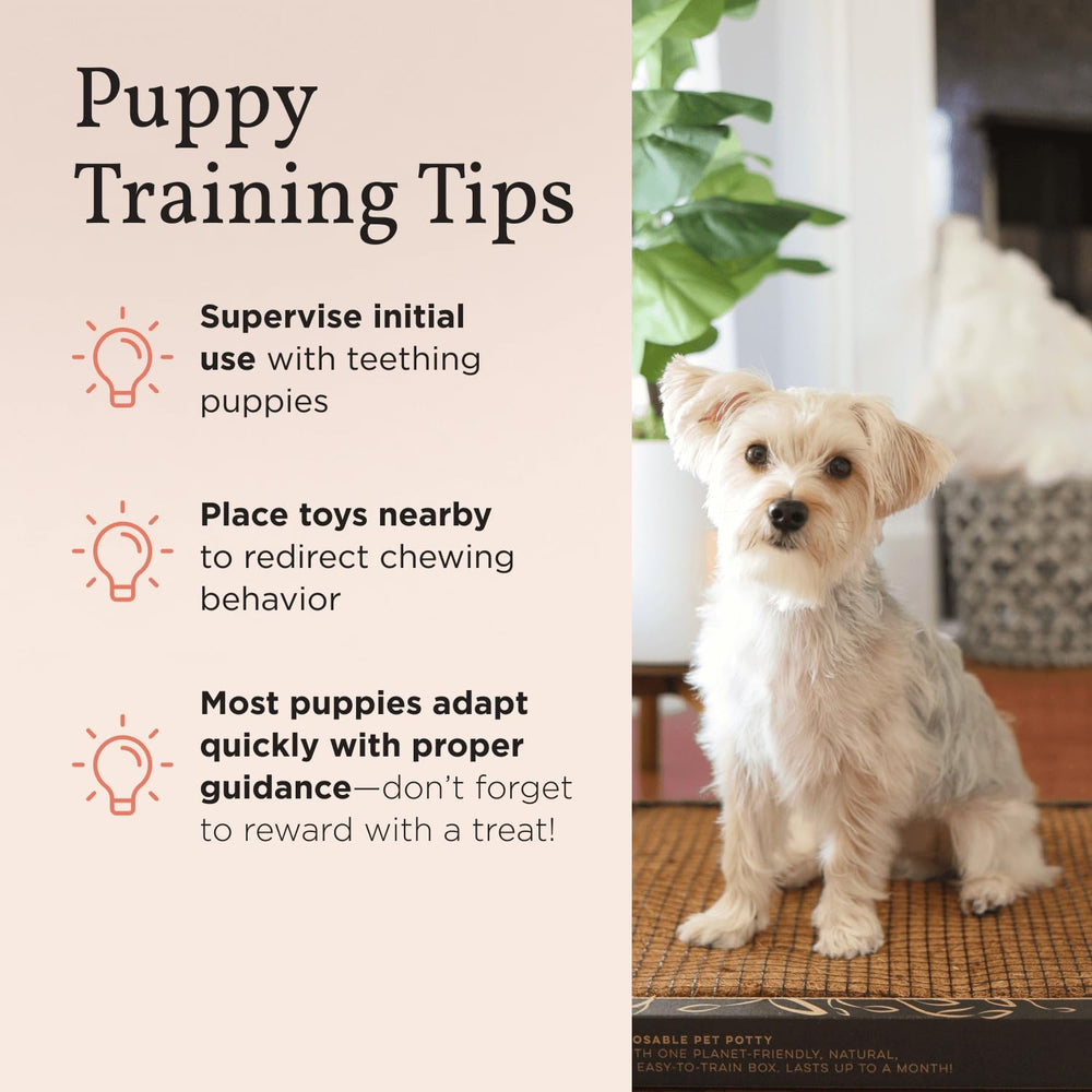 Bark Potty ecológico y reutilizable, opción sostenible para el cuidado diario.