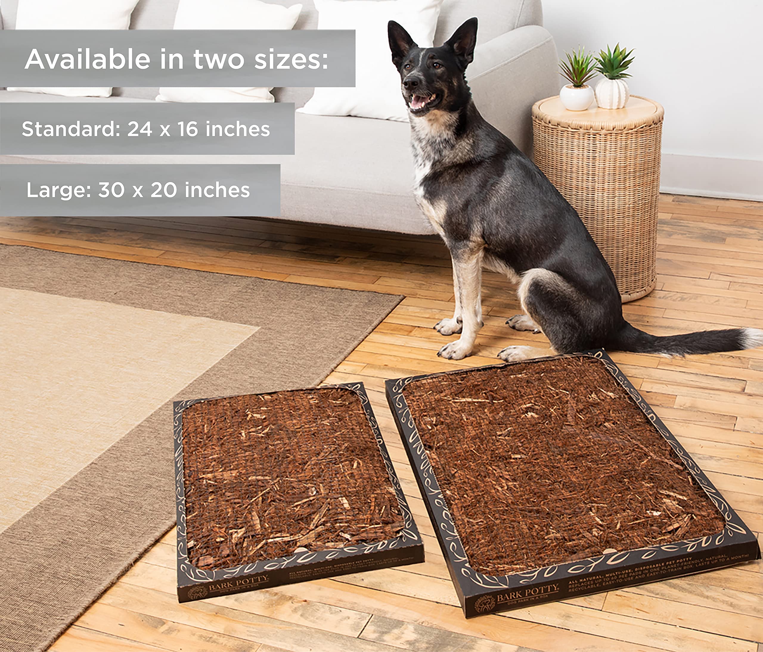 Bark Potty prueba de fuga, diseño resistente