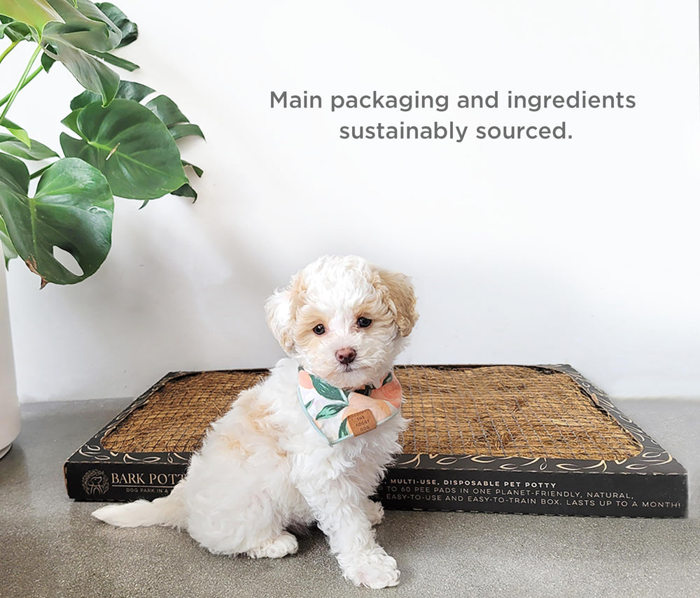 Bark Potty uso diario en interiores y exteriores