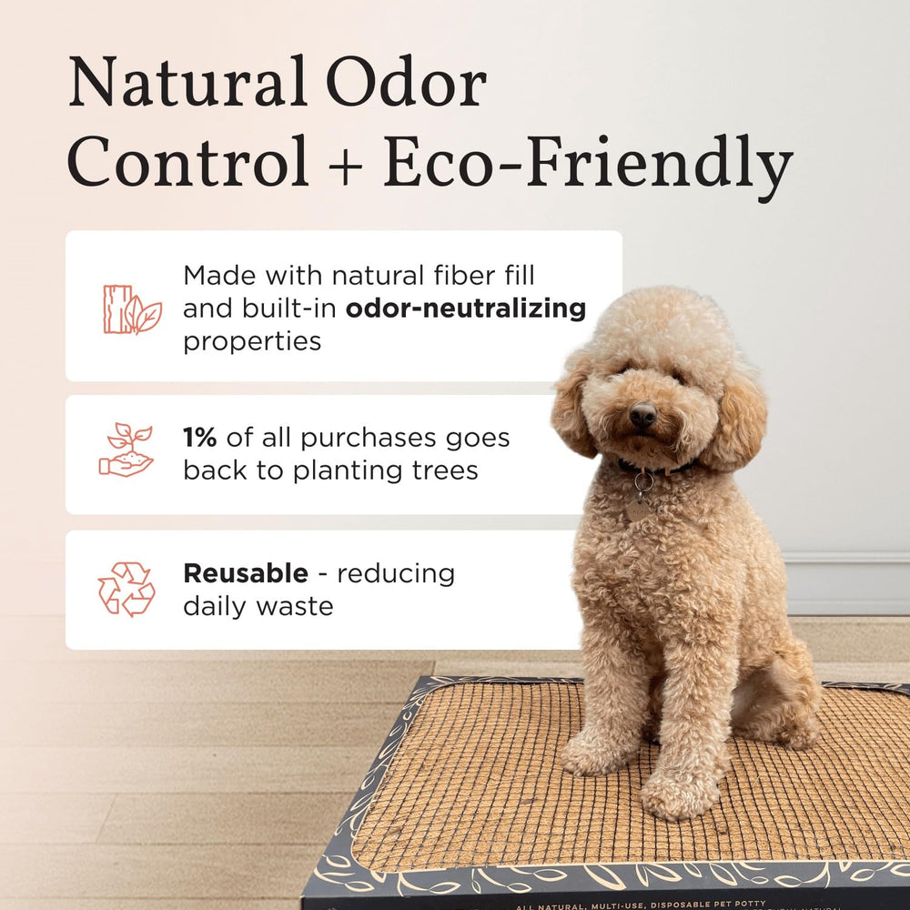 Bark Potty en uso interior, mantiene pisos limpios