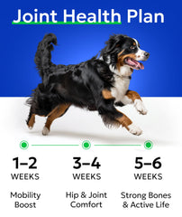 BARK&SPARK Calidad USA: control de calidad para una higiene y eficacia constante.