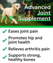 BARK&SPARK masticables suaves para articulaciones en perros grandes.