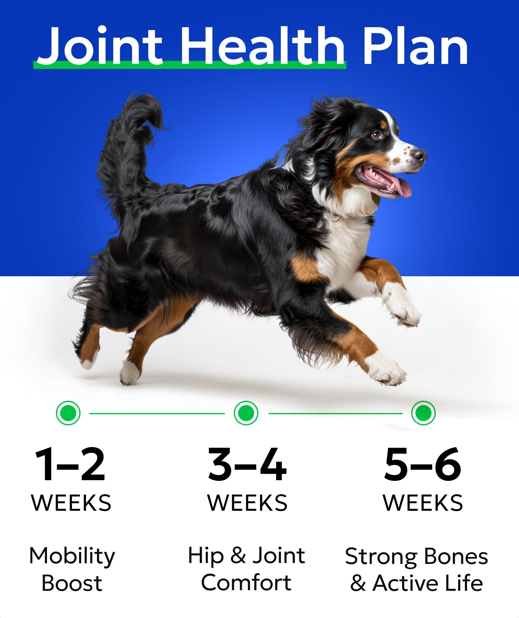Omega-3-6 en Bark&Spark para soporte de articulaciones y confort.
