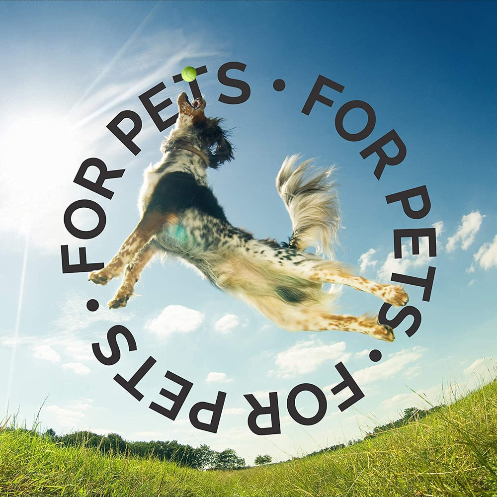 Bark2Basics recomendado por peluqueros profesionales para uso diario con mascotas.