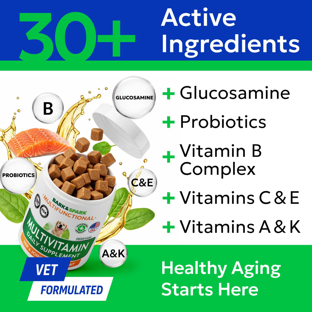 Gominolas BARK&SPARK con enzimas digestivas y probióticos para la digestión.