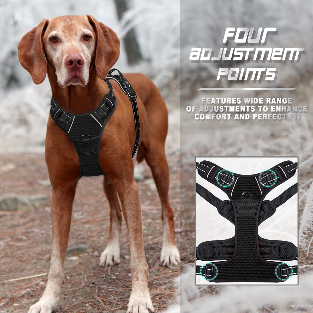 Acolchado antirozaduras de BARKBAY para paseos cómodos.