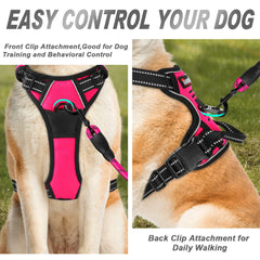 Arnés BARKBAY con cuatro puntos de ajuste para un ajuste personalizado.