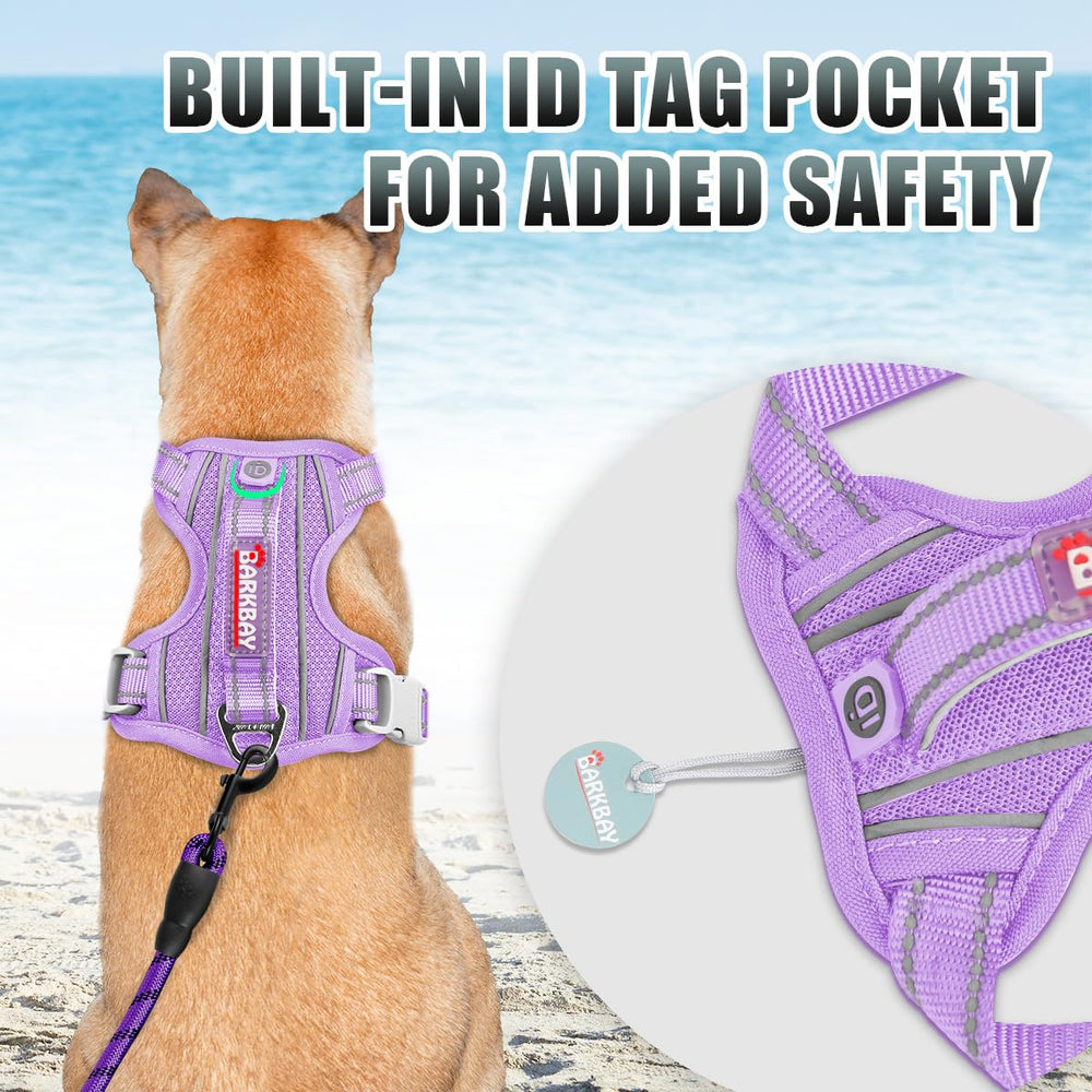 Arnés BarkBay con asa de control fácil para entrenar caminatas.