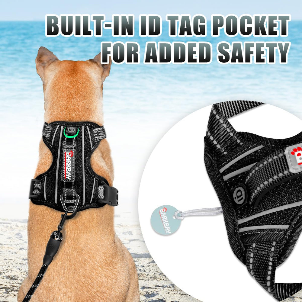 Arnés BarkBay con asa de control trasera para manejo cómodo.