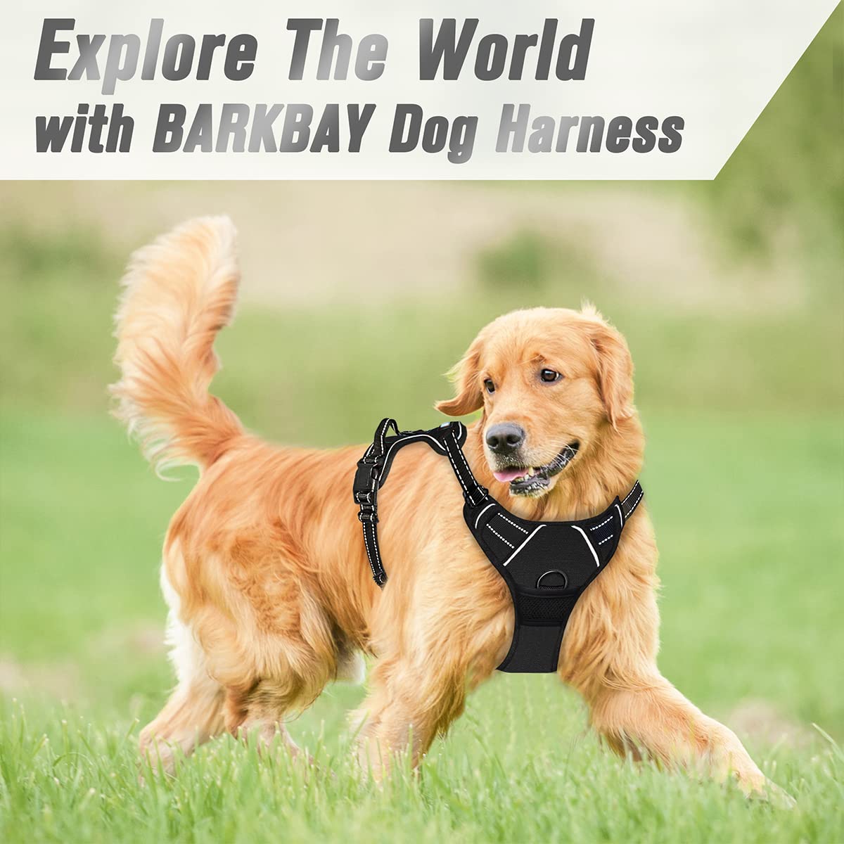 Forro acolchado anti rozaduras del arnés BarkBay para mayor comodidad.