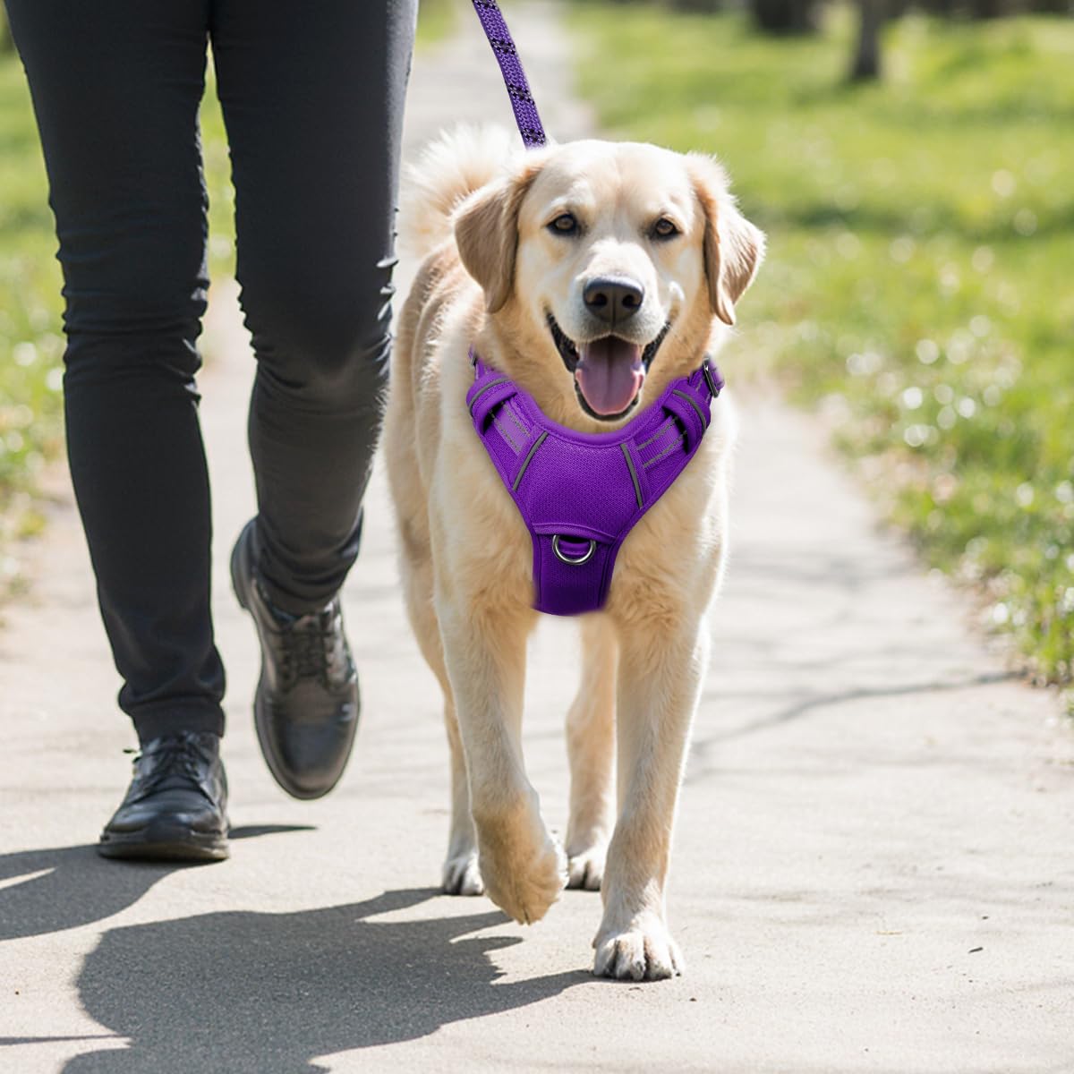 Arnés BarkBay, diseño cómodo para correr y entrenar.