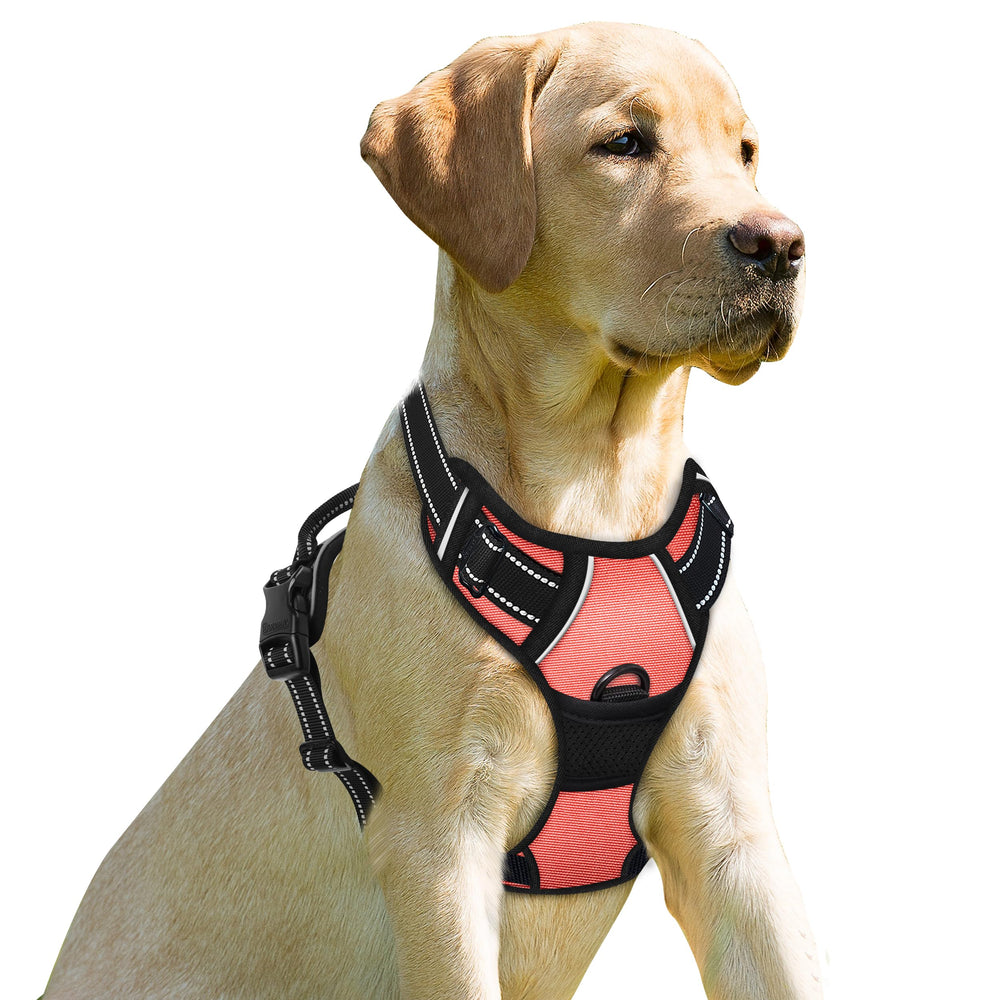 Arnés BARKBAY con clip frontal para control durante paseos