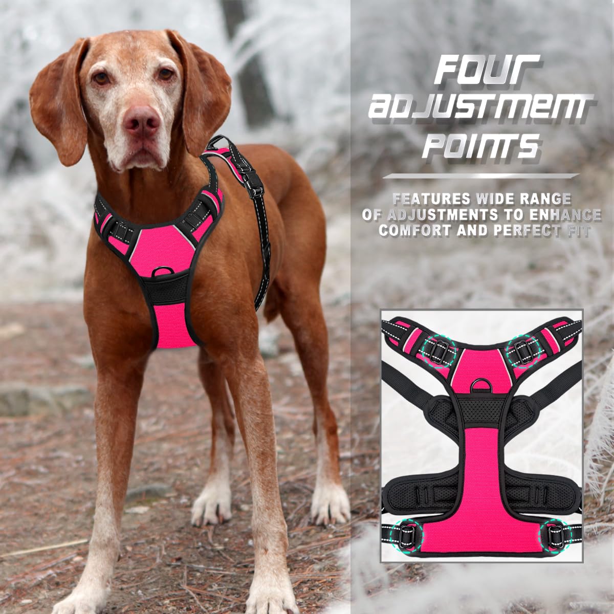 Nylon ligero de BARKBAY, diseño cómodo y reducción de rozaduras.