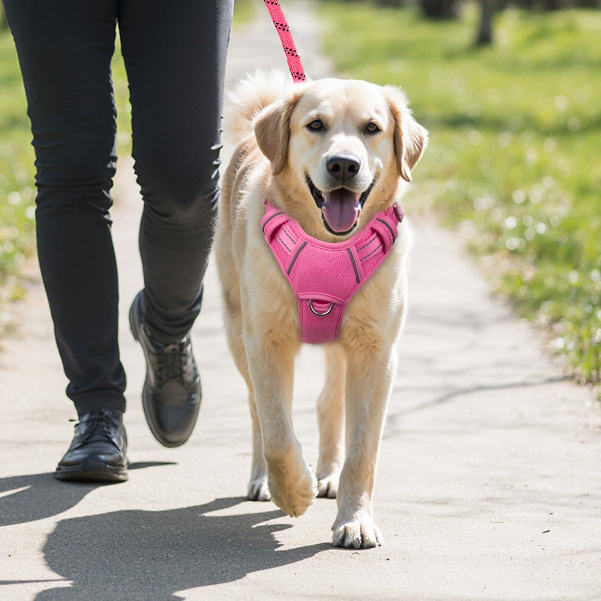 BARKBAY arnés ideal para perros activos durante entrenamientos y carreras.