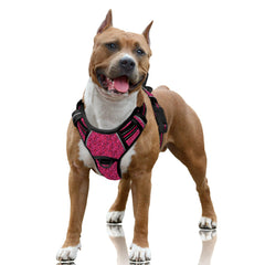 BARKBAY arnés para perros con clip frontal sin tirones, paseos más controlados.