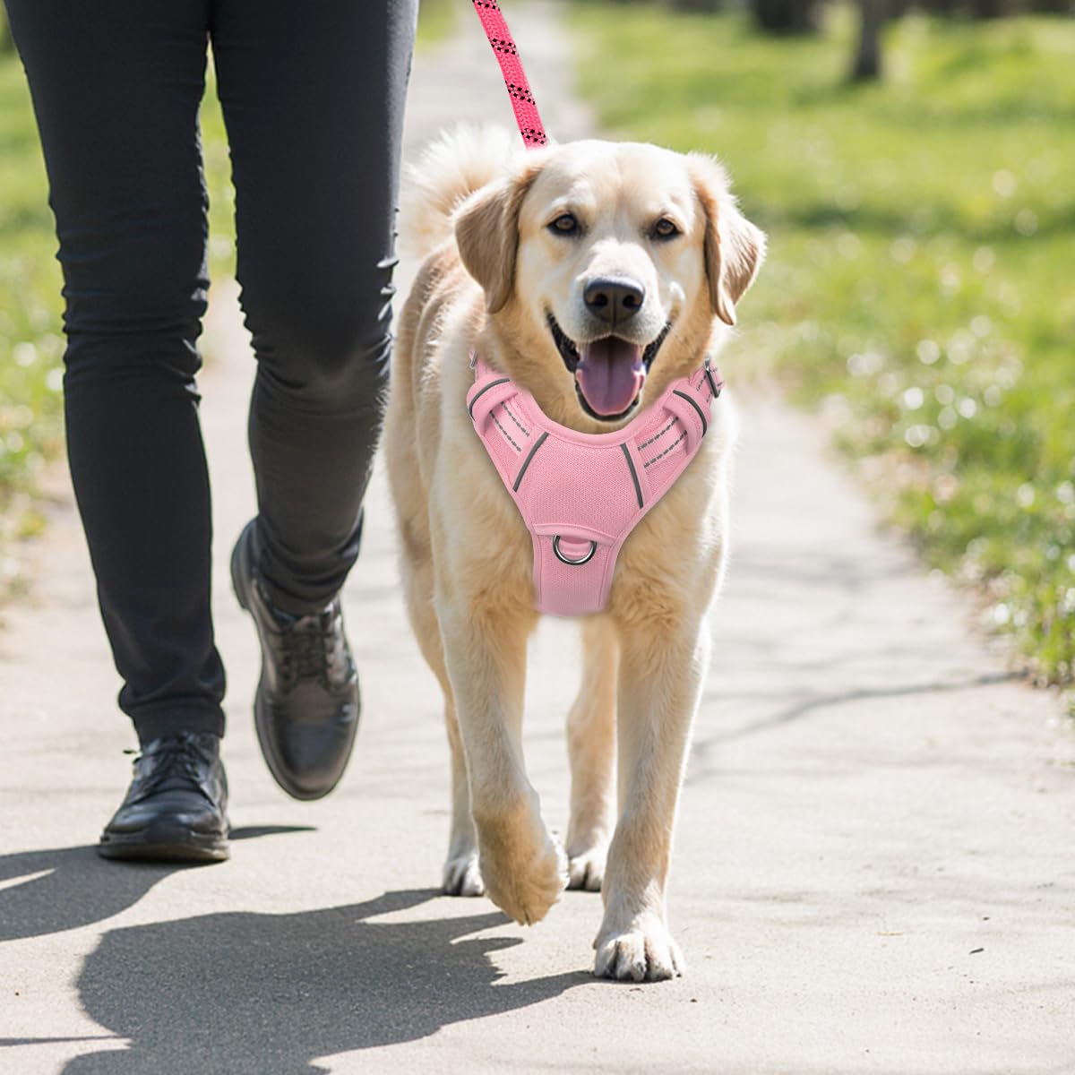 Arnés BARKBAY en talla grande para perros de mayor tamaño.