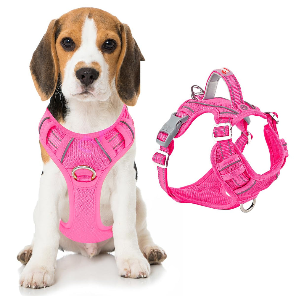 BARKBAY arf1es sin tirf3n con bolsillo de identificacif3n, ideal para paseos controlados.