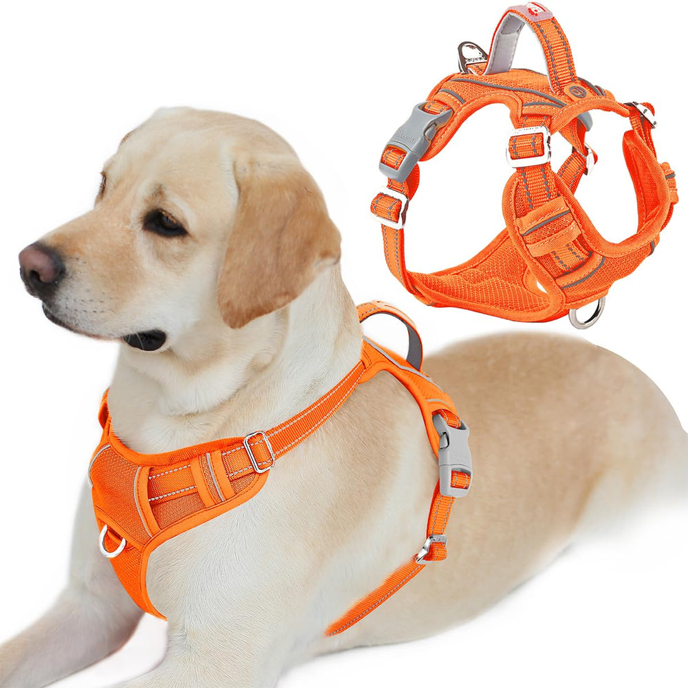 Arnés BarkBay sin tirones para perros grandes, cómodo y seguro en color naranja