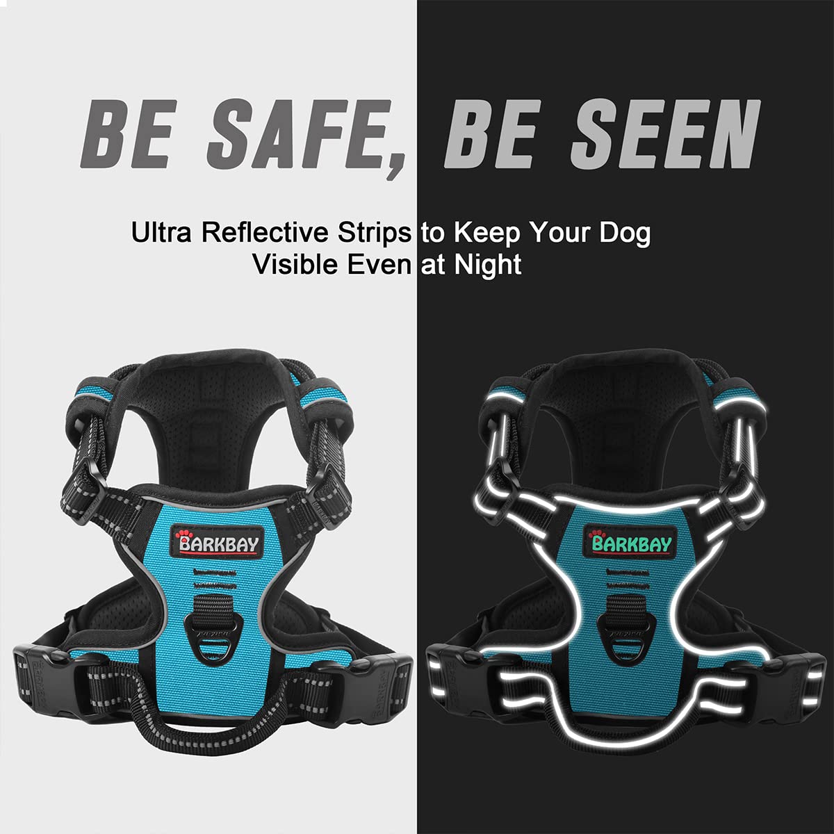 BARKBAY, asa superior para control rápido y seguro.