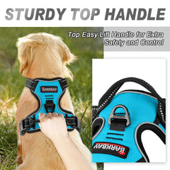 BARKBAY, dos puntos de enganche para mayor flexibilidad.