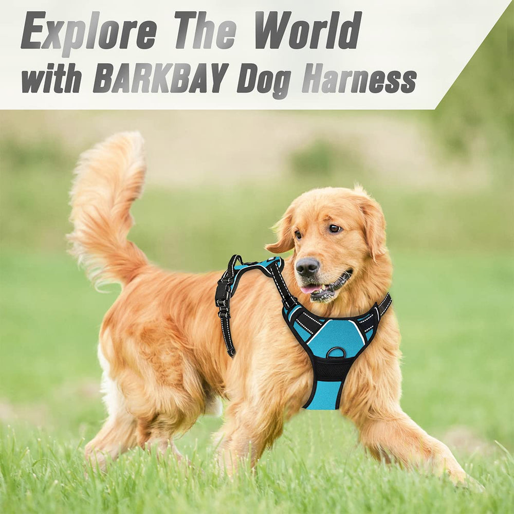 BARKBAY talla XL en azul para perros grandes.