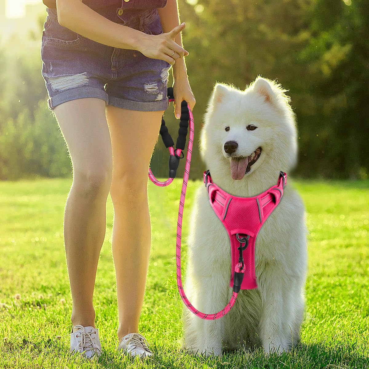 BARKBAY mango superior para control re1pido durante paseos.