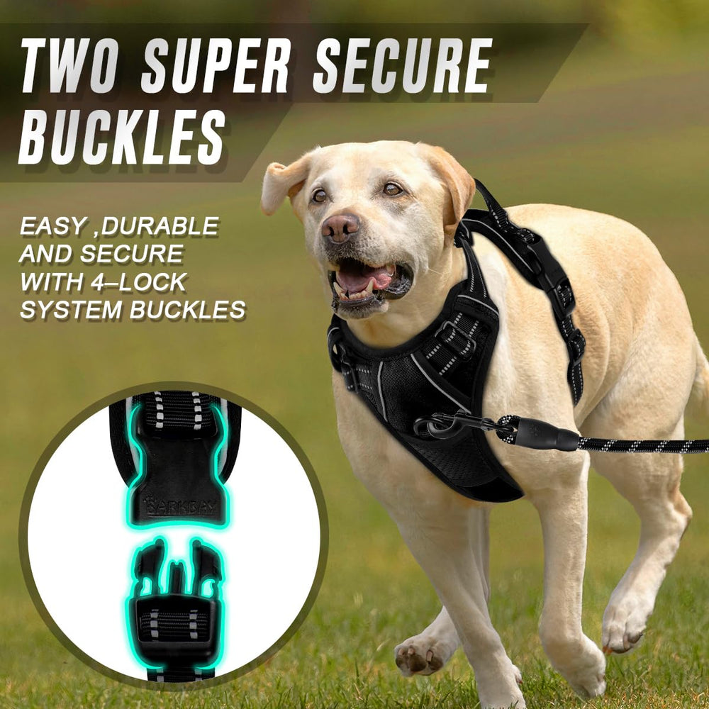 Mango superior BarkBay para control adicional durante el paseo