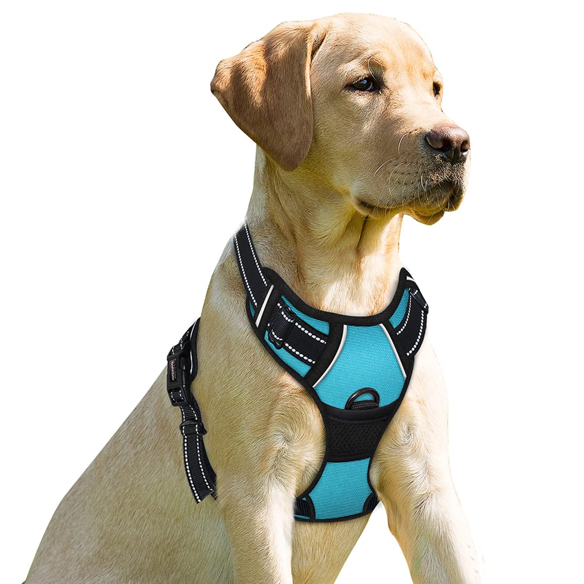 BARKBAY No Pull clip frontal azul, mayor control en paseos