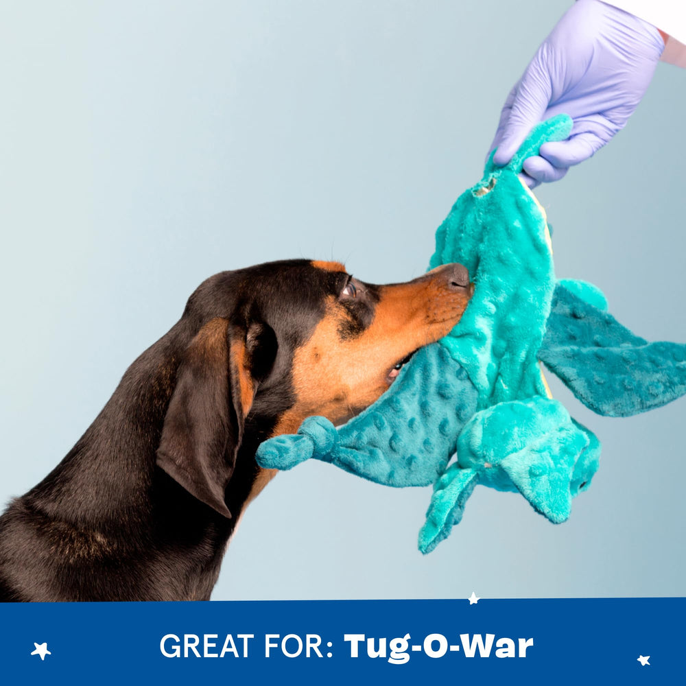 BarkBox Dingbert, alas crujientes para batallas imaginarias