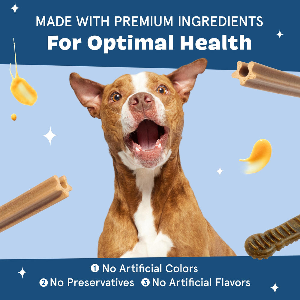 BarkBox Bright mordedor aromático para rutina diaria de cuidado dental