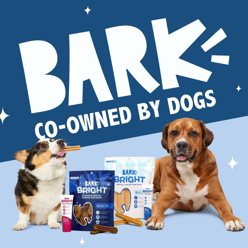 BarkBox Bright palo dental duradero para razas grandes en uso cotidiano