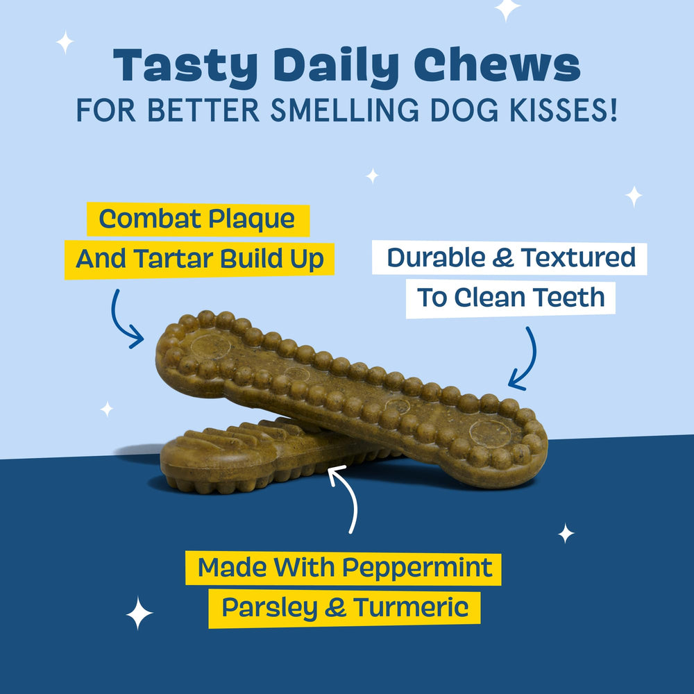 BarkBox Bright palo dental duradero texturizado para masajear encías