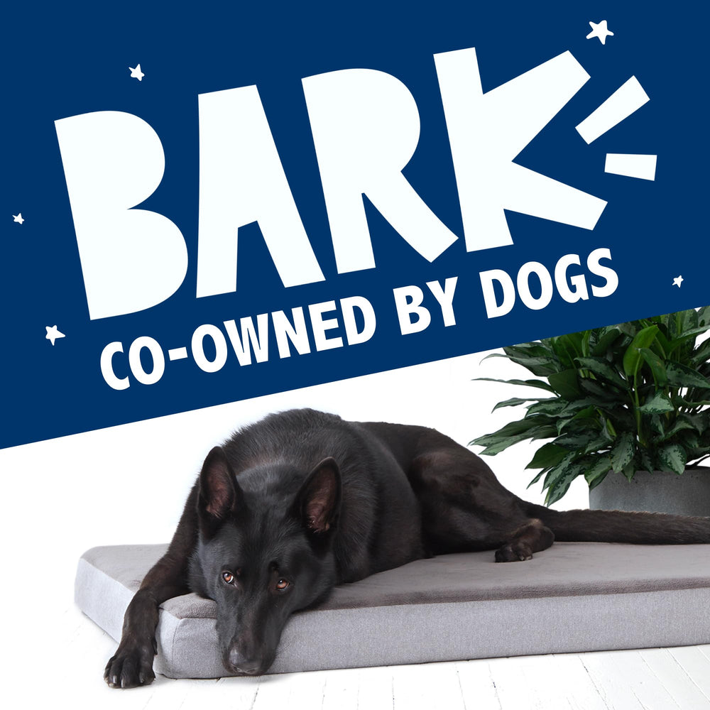 Uso en hogar: Barkbox Cama Ortopédica para descanso cómodo en sala.
