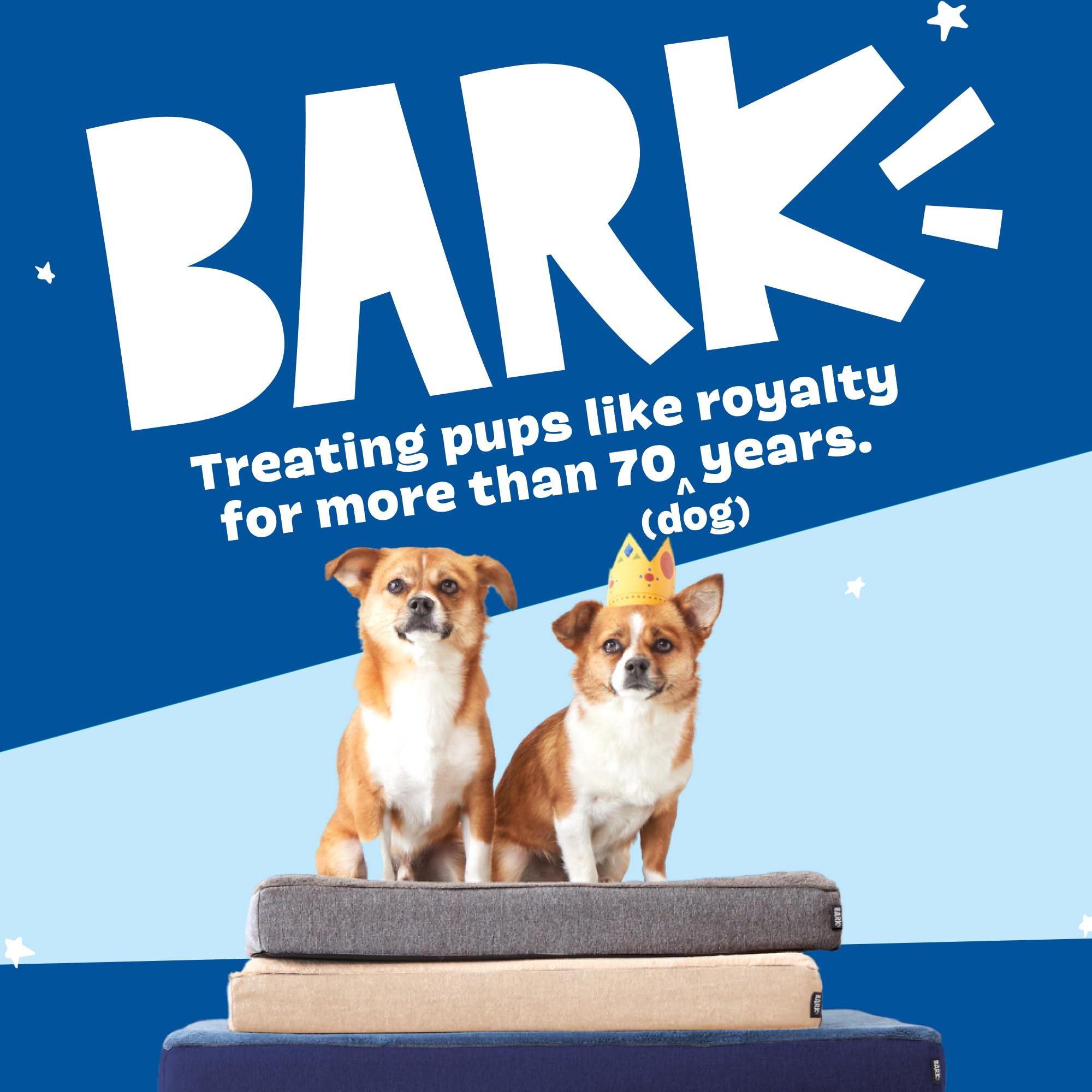 Uso en jaula: Barkbox Cama Ortopédica como base estable.