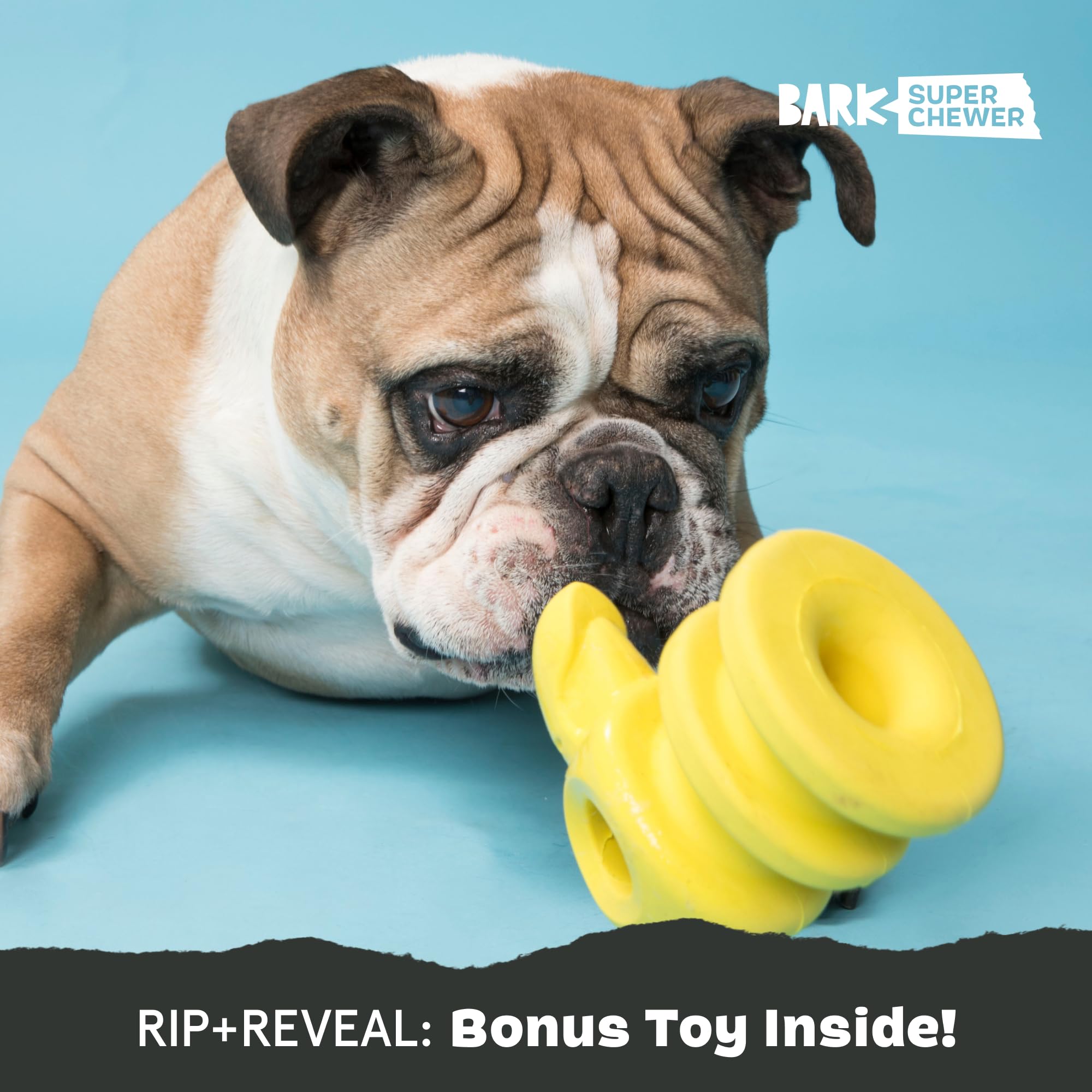 Barkbox Capitán Loro: perfecto para masticadores determinados que destrozan peluches.