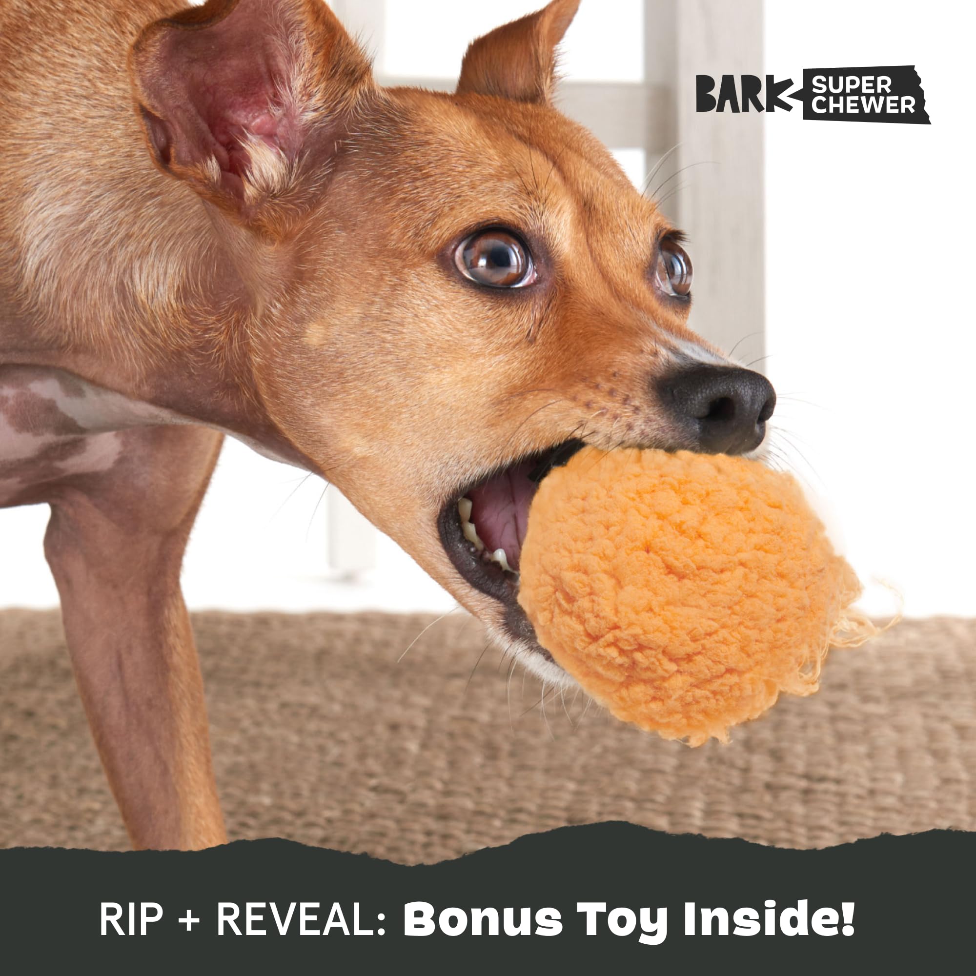 BarkBox Cheeze Brawl: diseño exclusivo para mayor curiosidad