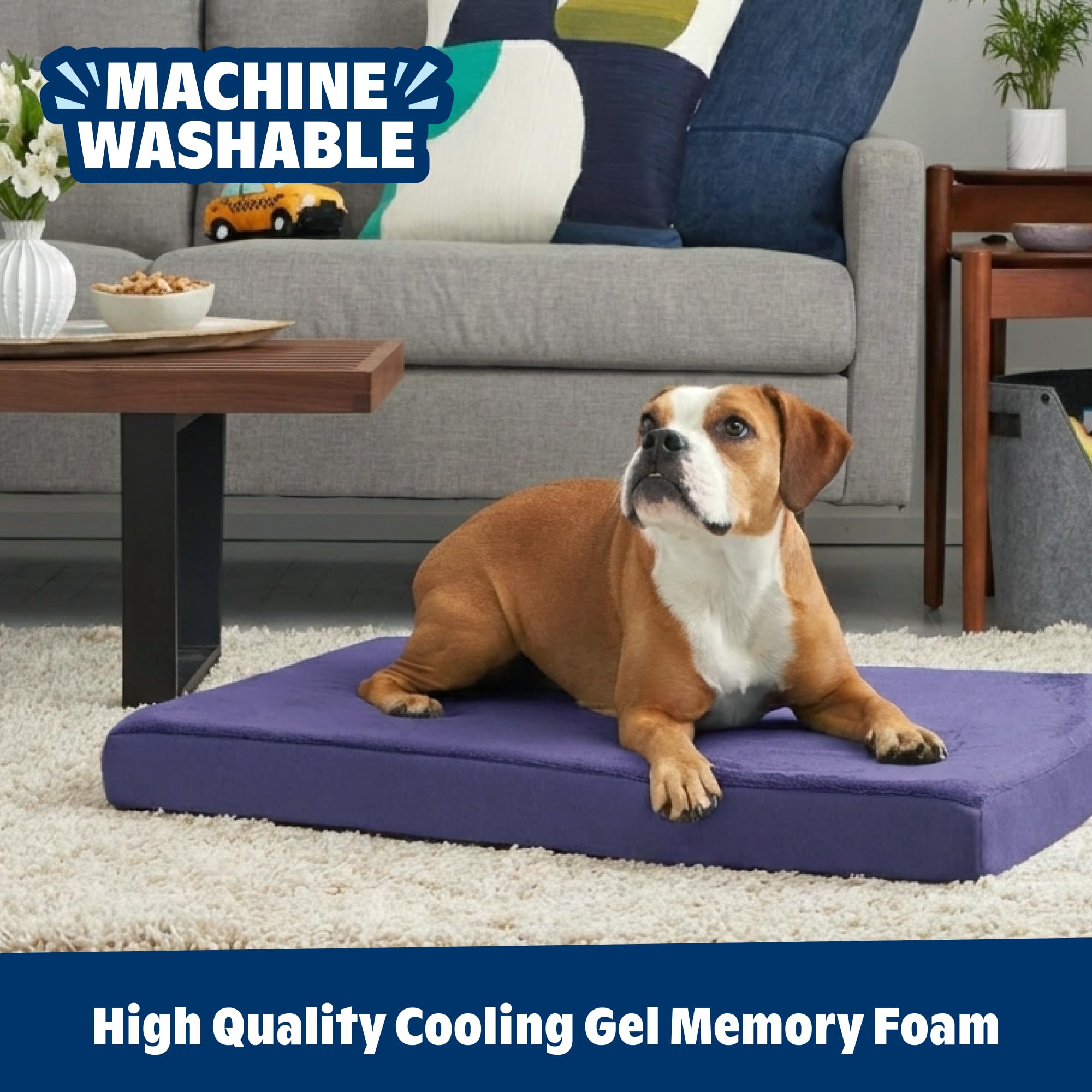 Confort y soporte en zonas de mayor presión para tranquilidad del perro.