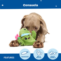 BarkBox Consuela Cactus: enriquecimiento interior y exterior para perros activos