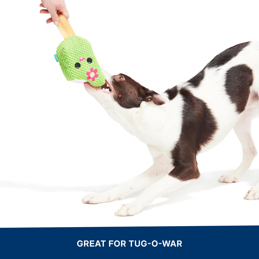 Barkbox Consuela Cactus Pop para interiores y exteriores.