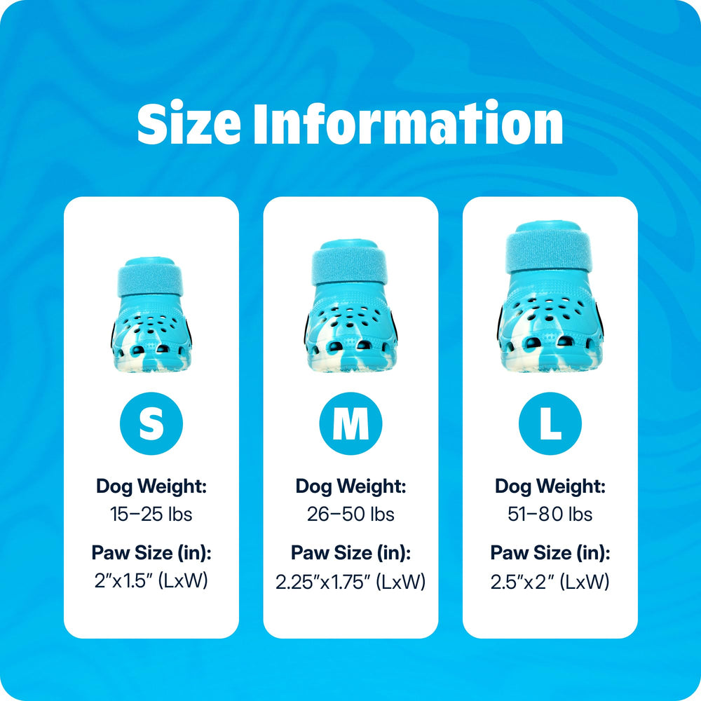 BarkBox Aqua Crocs para perros: brillo nocturno para mayor visibilidad.