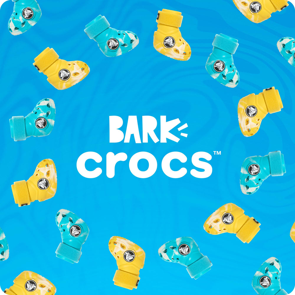 BarkBox Aqua Crocs para perros: protección cómoda en cada paseo.