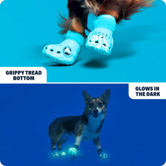 BarkBox Aqua Crocs para perros: suela antideslizante para tracción.