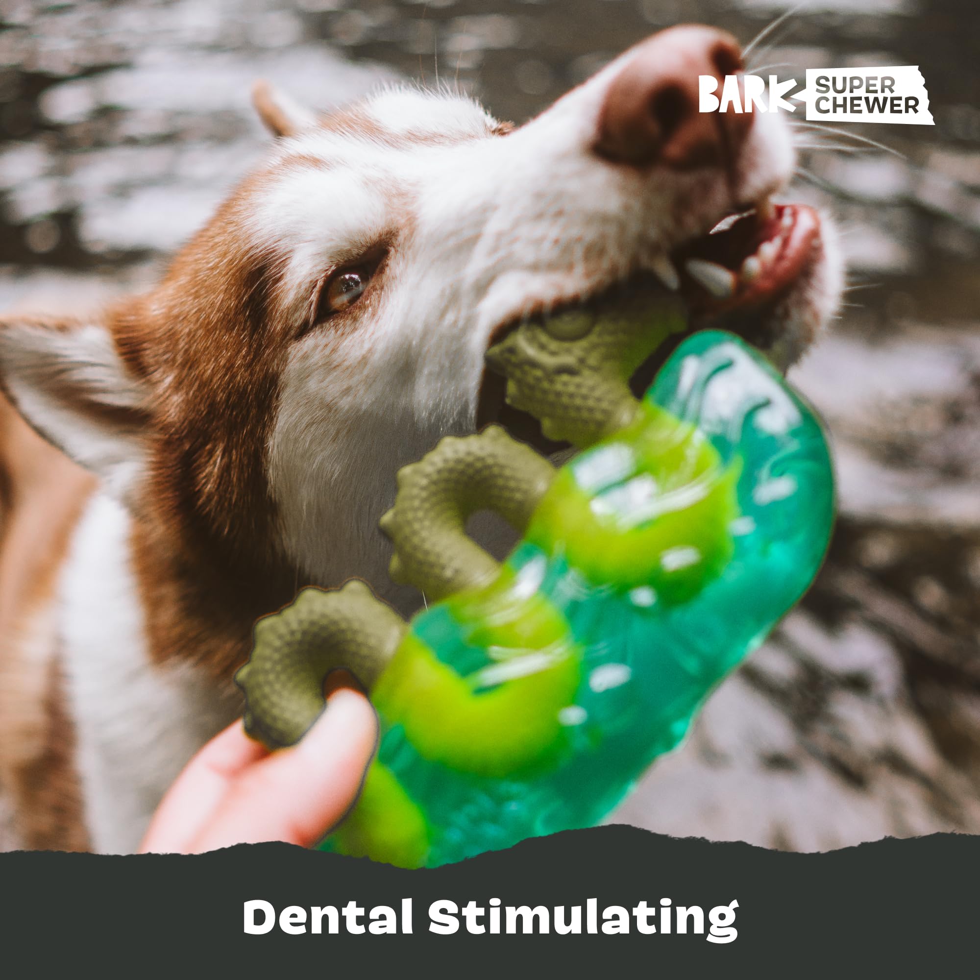 Jouet Dogness Monster favorisant la dentition et le mordillement puissant.