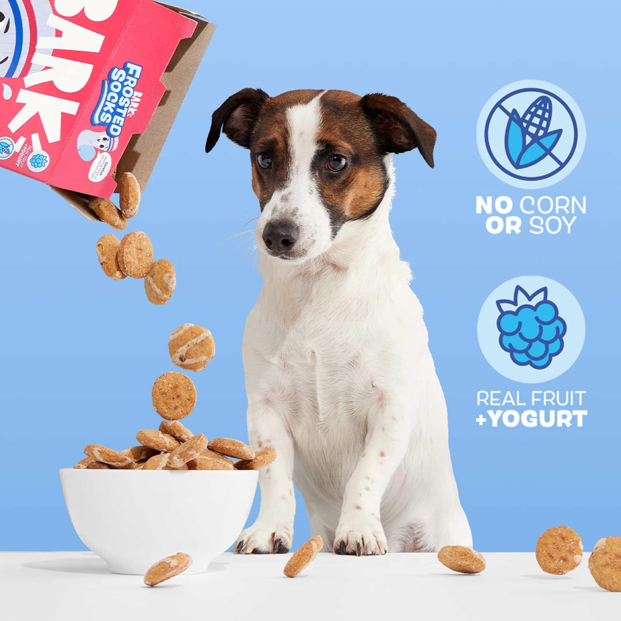 BarkBox Frosted Socks: granos nutritivos para estómago sensible