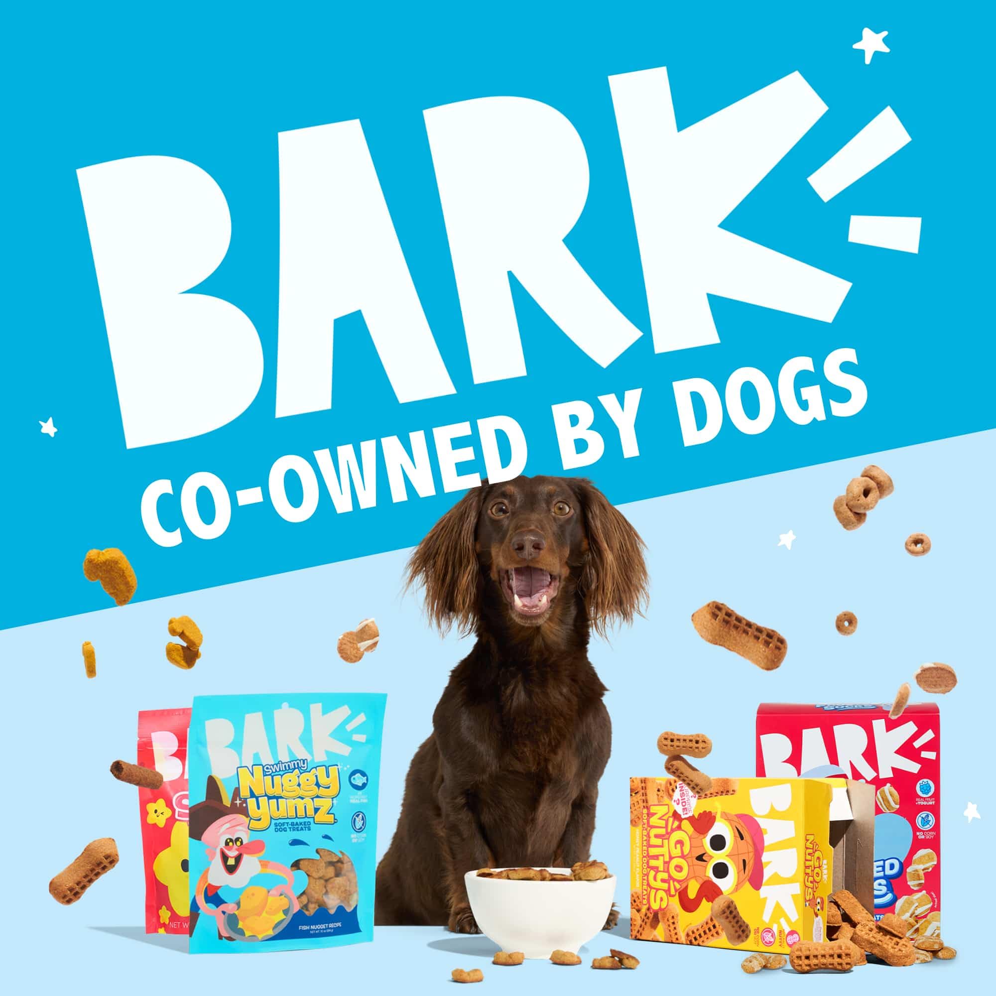 Barkbox Fruity Toot Loops: experiencia de sabor que invita a jugar.
