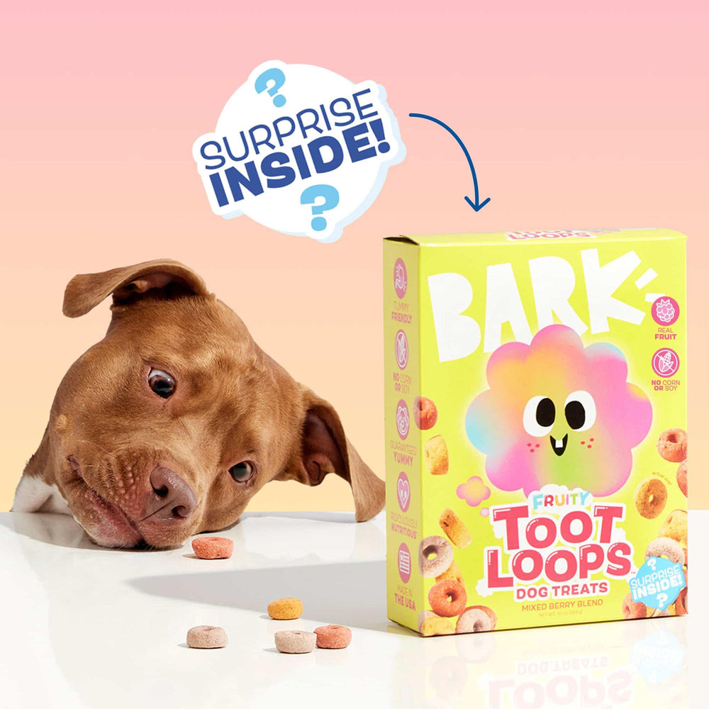 Barkbox Fruity Toot Loops: sin soja, golosina segura.