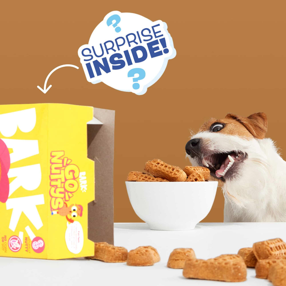 Barkbox Go Nutty sabor miel cacahuete para perros activos.