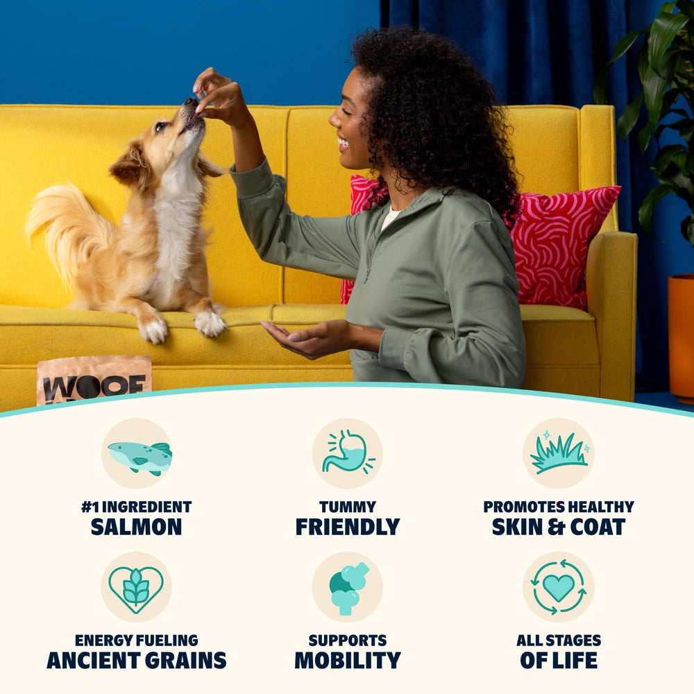 Barkbox apto para todas las edades y tamaños