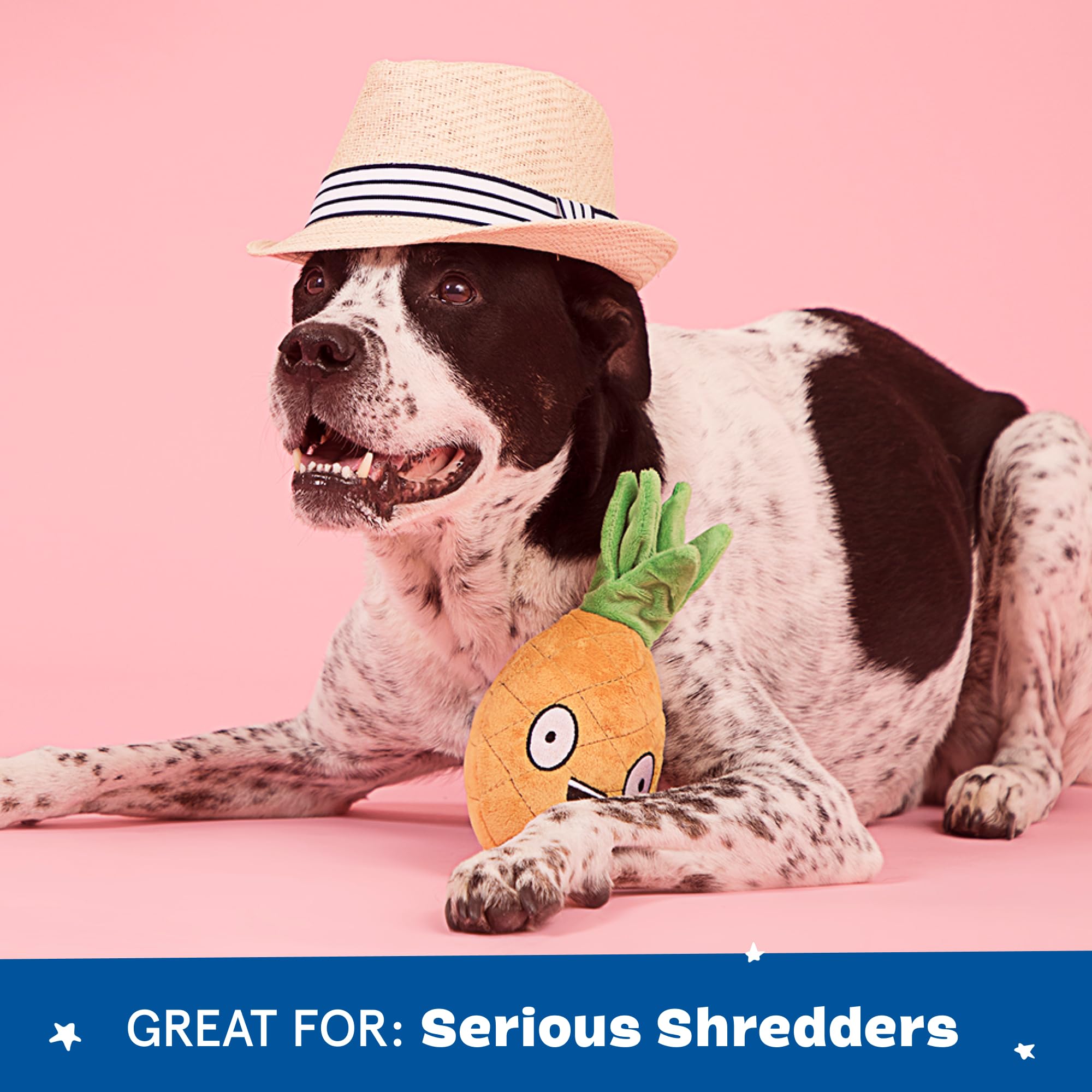 Penny Piña Barkbox, diseño duradero para mordedores intensos